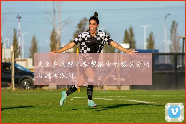 北京乒乓球队默契配合的深度分析与战术探讨