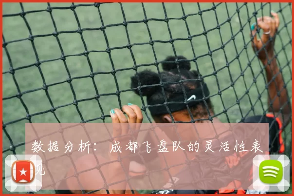 数据分析：成都飞盘队的灵活性表现