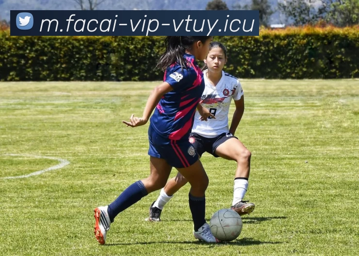 星空体育平台生态图