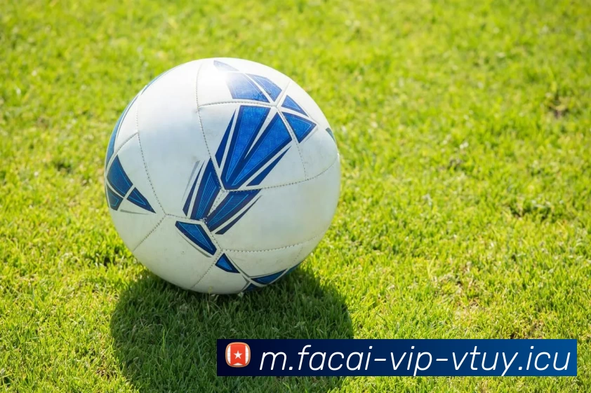 星空体育APP 封面图